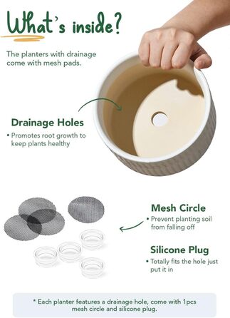 Набір горщиків для сукулентів LE TAUCI, 16,5+20 см, кераміка, для дому, з дренажними отворами, сучасний циліндричний дизайн, 2 шт. (білий)