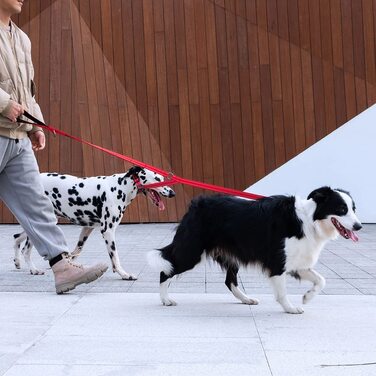 Відмінний Елітний шльопаючий подвійний повідець для собак, світловідбиваючий регульований подвійний повідець, повідець для 2 собак для прогулянок ,тренувань і бігу (PLU) (Світло-блакитний)