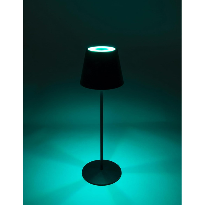 Торшер SCHWAIGER OTL200 - LED лампа, нічник, торшер для саду/інтер'єру, RGB, сенсорне управління, акумулятор, диммування, тепле світло, IP44, антрацит, пластик