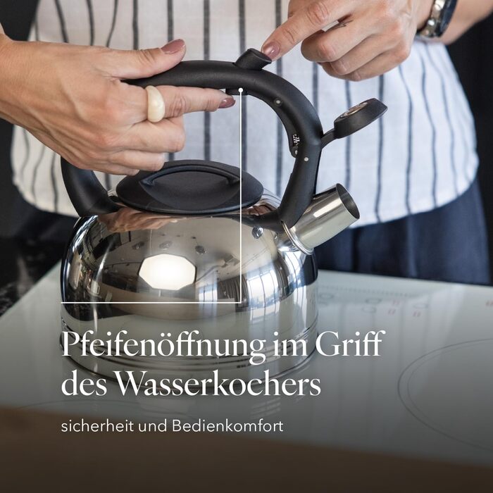 Чайник FLORINA Fenny Satin Induktion 2.5L з нержавіючої сталі, сріблястий