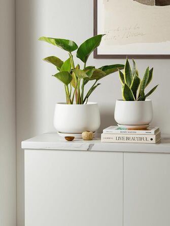 Керамічні горщики LE TAUCI з підставкою, 10+13+16 см, набір з 3 горщиків для кімнатних рослин, з дренажним отвором (білий)