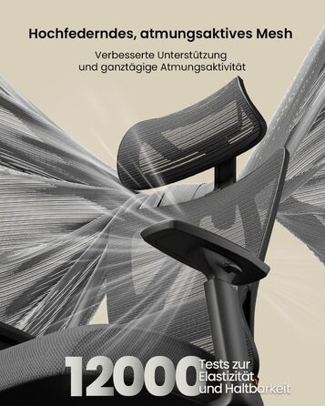 Крісло офісне ProtoArc EC100 чорне з підлокітниками та регульованою спинкою, Mesh, для дому та офісу