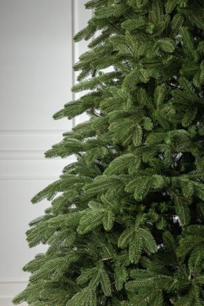 Ялинка лита 'Лапландська' ПАРАСОЛЬКА ЗЕЛЕНА 1,80м