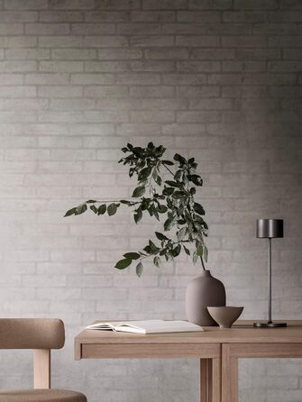 LED-лампа на акумуляторі Blomus FAROL - бездротова, диммирувана, gunmetal
