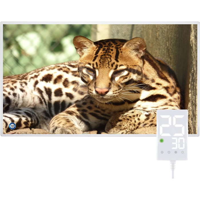 Інфрачервовий обігрівач Hocosyme Leopard 1000W з термостатом - для спальні, офісу, кухні, ванної кімнати