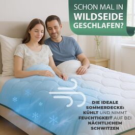 Літня ковдра Welldora Sommerdecke 155x220: дихаюча, з 100% дихаючої шовкової вати, для алергіків, сертифікат Oeko-Tex, Швейцарія