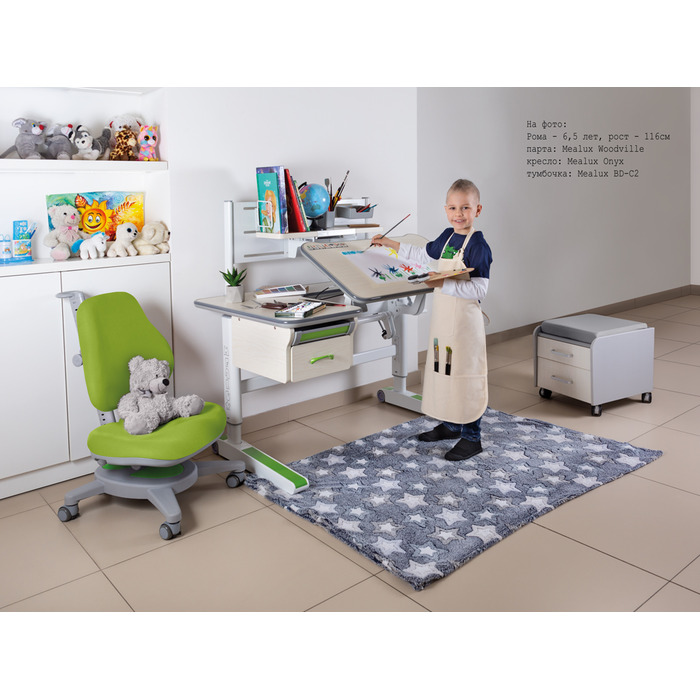 Дитячий стіл Mealux Woodville Multicolor W (арт. BD-850 W/MC)