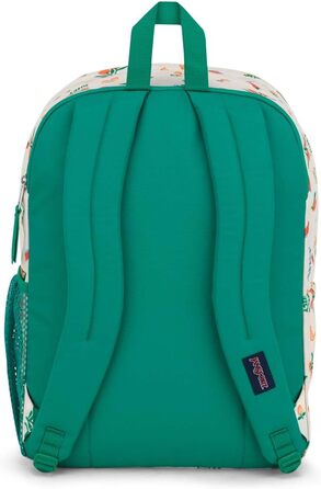 Рюкзак JanSport BIG STUDENT П'ять Крем На День