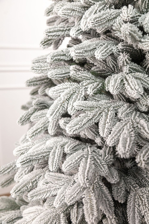 Ялинка лита 'Лапландська' ЗАСНІЖЕНА 2,50м