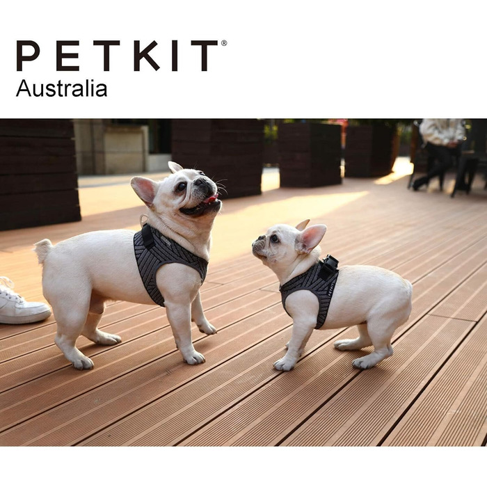 Шлейка для собак Petkit Air Fly, розмір S, чорна