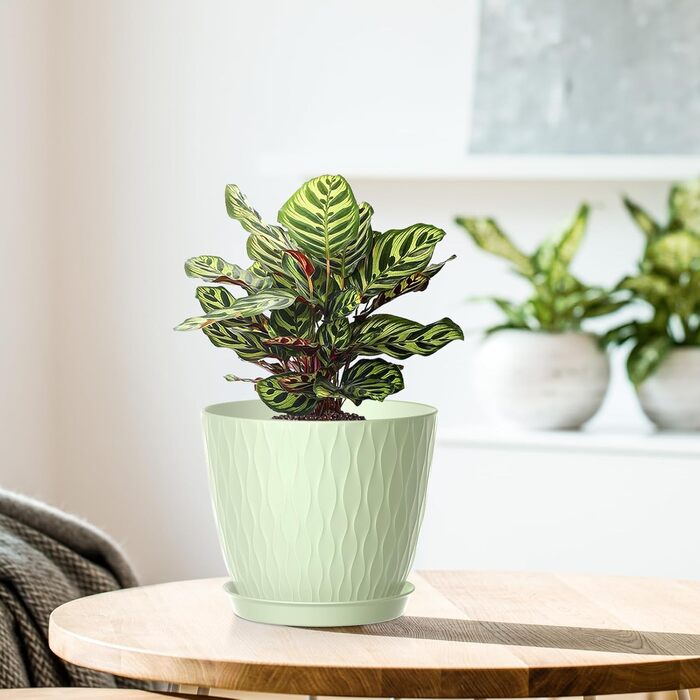 Набір горщиків для квітів з системою поливу (5 шт.), 17.8 см, з підставкою, для дому та балкону (світло-зелений)