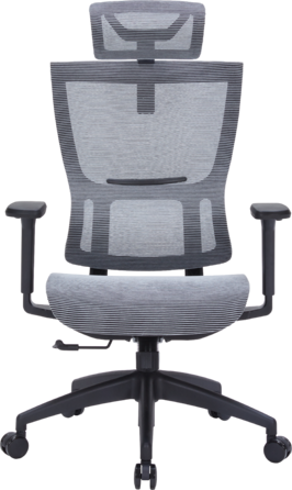 Крісло офісне OfficePro Elegant OC660-B-DG-DG