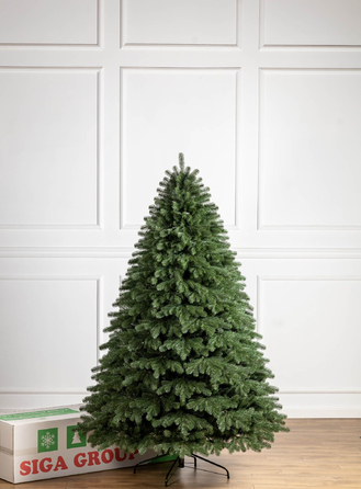 Ялинка лита 'Версальська' Зелена 2,50м