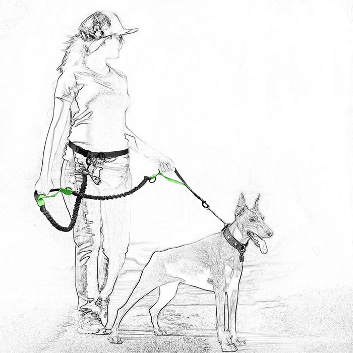 Висувний повідець для собак без рук, регульований світловідбиваючий банджі з подвійними ручками для бігу (яскраво-рожевий)