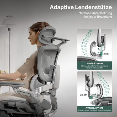 Офісний стіл HINOMI H2 Pro з ергономічною підтримкою попереку, регульованою підголівником та підлокітниками, до 150 кг, дихаюча сітка, поворотний крісло для дому та офісу, сірий