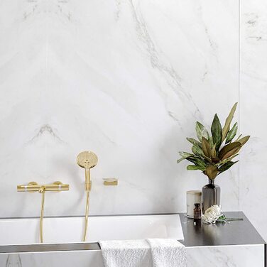 Душова лійка Hansgrohe Raindance Select S, 9 л/хв (EcoSmart), ручна, 3 режими, діаметр 120 мм, з антикальк-функцією, (золотий колір), економна