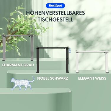 Електричний регульований стіл FlexiSpot з пам'яттю висоти та LED-дисплеєм, сірий (EN1)