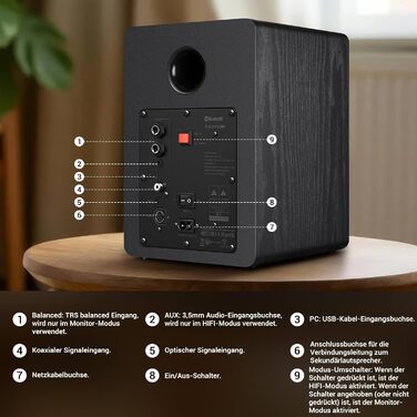 Sanyun SW206: 4-дюймові Hi-Fi колонки з підсилювачем 80W, Bluetooth 5.4, USB DAC, для програвачів, TV, PC. Білий колір