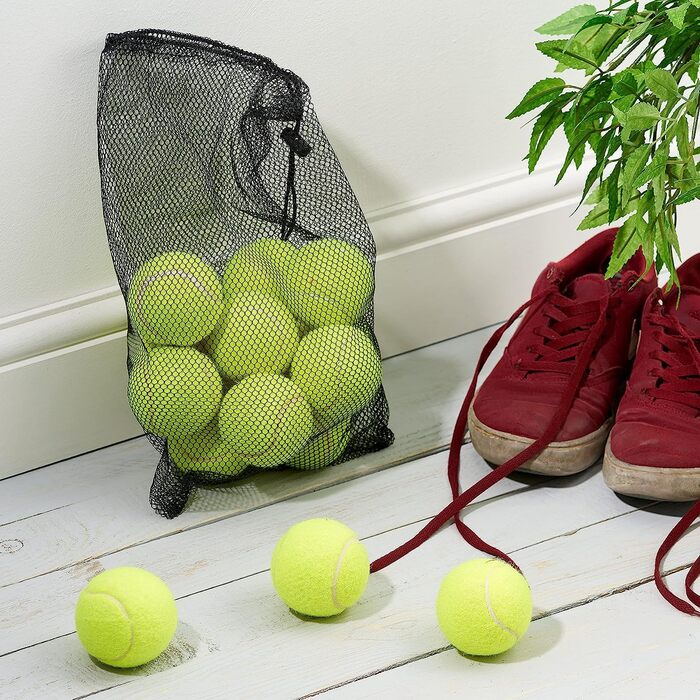Ожина-15 тенісних м'ячів в чохлі для перенесення-ідеально підходить для занять спортом, тренувань, ігор, собак і домашніх тварин-міцний і практичний