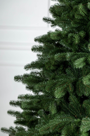 Ялинка лита 'Версальська' Зелена 2,10м