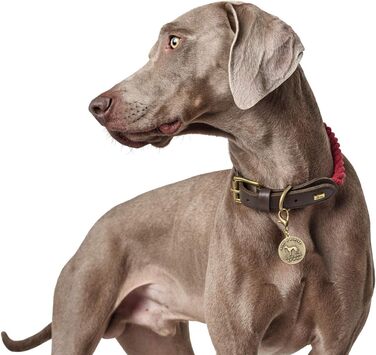 Нашийник Hunter LIST для собак, темно-синій, шкіряний, морський, міцний, стійкий до атмосферних впливів, еластичний, (Бордо, 70 (XL))