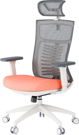 Крісло офісне OfficePro Balance OC550-W-DG-OR