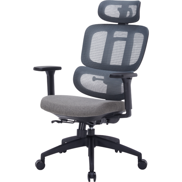 Крісло офісне OfficePro Skyline OC580-B-DG-DG