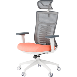 Крісло офісне OfficePro Balance OC550-W-DG-OR