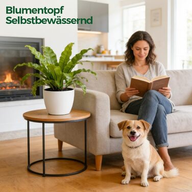 Автоматичний горщик для квітів з індикатором рівня води, 2 шт. - ідеальний вибір для зайнятих людей та початківців, підходить для монстери та розмарину, для дому та саду (білий, 17,5 см)