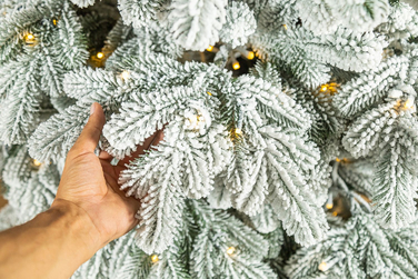 Ялинка лита 'Ковалівська' ЗАСНІЖЕНА LED (золотий - білий) 2,50м