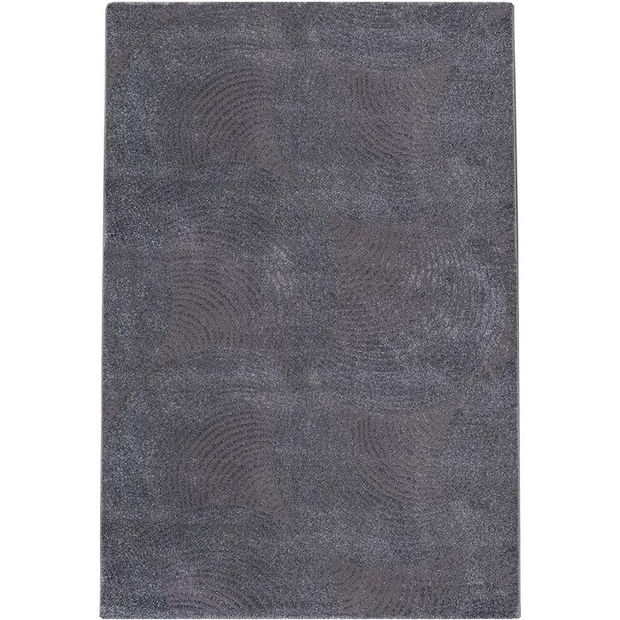 Передпокій - 80x300см - сірий Однотонна вітальня Однотонний круговий візерунок Сучасні декоративні килими М'які килими Спальня 80 х 300 см сірий