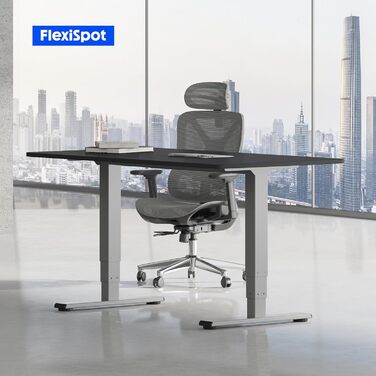 Електричний регульований стіл FLEXISPOT 120x80 см з подвійним мотором - ергономічний стоячий стіл для дому та офісу, 100 кг, тиха робота (<50 дБ), сірий + чорний