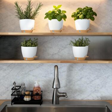 Набір горщиків для квітів ZMTECH 25 см з підставкою, пластикові пересаджувальні горщики з автополивом, квіткові горщики з індикатором рівня води для дому/саду (2 шт.,) (Білий, 15 см (5 шт.))