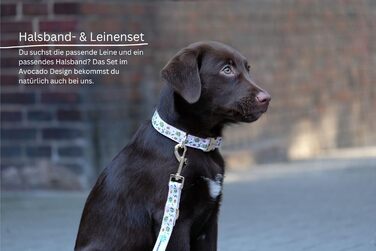 Шлейка для собак FURFRIENDS - дихаюча, щільно прилягає, світловідбиваюча. Регулюється для собак малих та середніх розмірів XXS.