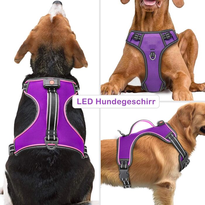 Шлейка для собак, що світиться (XL, фіолетовий)