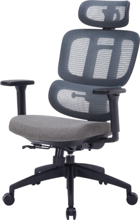 Крісло офісне OfficePro Skyline OC580-B-DG-DG