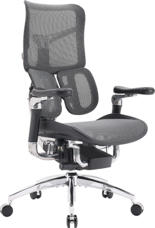 Крісло офісне Sihoo DORO S300 Mesh Dark Grey