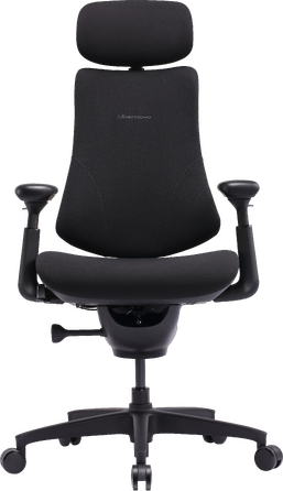 Крісло офісне ергономічне LiberNovo Omni SE Obsidian 48 см