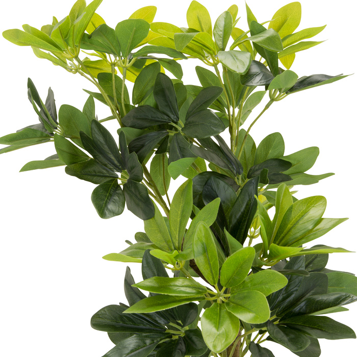 Штучна рослина / Штучне дерево SCHEFFLERA Radiant Aralia 90 см Пластик зелений hjh ОФІС