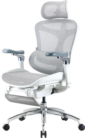 Крісло офісне з підставкою для ніг Sihoo DORO C300 Pro Mesh White with footrest