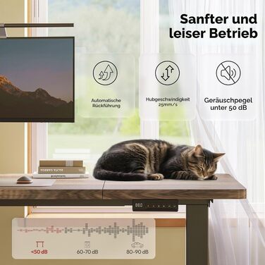 Регульований по висоті письмовий стіл SANODESK з двома моторами, 180 x 80 см, коричневий