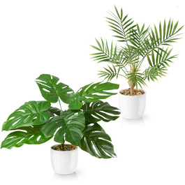 Набір штучних рослин PASCH® Monstera та арека, 35 см, у білих керамічних горщиках – декоративні штучні рослини у горщику, як справжні