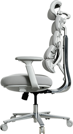 Крісло комп’ютерне офісне ергономічне OfficePro FlexCore OC120G