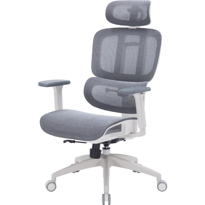 Крісло офісне OfficePro Skyline OC680-W-DG-DG
