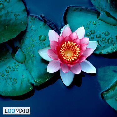 Силіконова туалетна щітка LOOMAID з лотос-ефектом, сіра, виготовлена в Німеччині – змінна щітка для унітазу