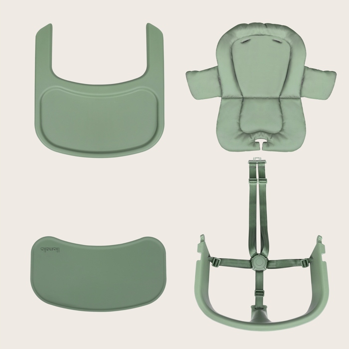 Дитячий візок Lionelo Megan 2025 Green Wood