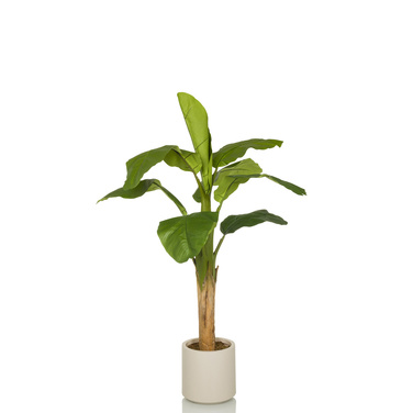 Штучний банан (декоративне дерево) BANANE I, 150 см, зелений, серія OFFICE
