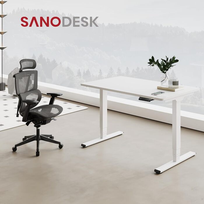 Регульований по висоті письмовий стіл SANODESK 120×80 см, електричний стіл для роботи стоячи та сидячи, два двигуни, пам'ять, USB-порт, захист від зіткнень (Сірий/Чорний)