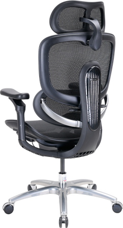 Крісло офісне Sihoo C300 LITE V2 Black