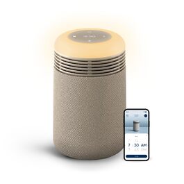 Очищувач повітря Blueair Blue Pure 511i Max для приміщень до 43 м² з HEPASilent технологією, розумний та безшумний очищувач від пилу, алергенів та шерсті тварин для спальні та дитячої кімнати